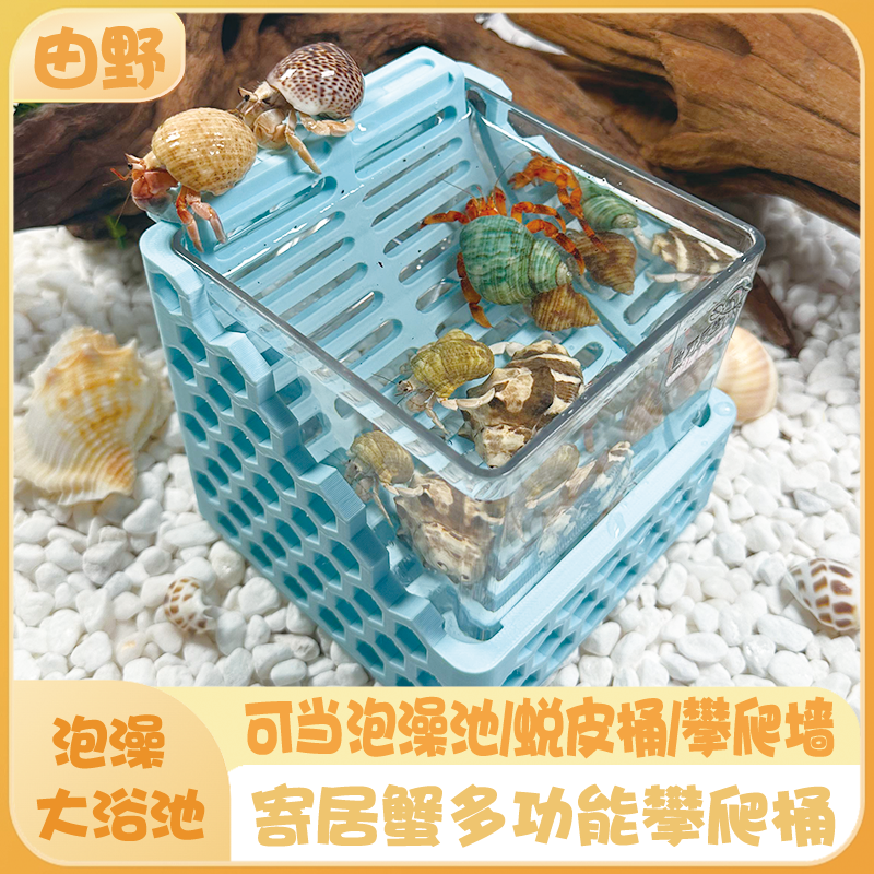 由野后生寄居蟹泡澡桶3d打印多功能攀爬墙蜕皮桶泡澡滑滑梯水池,宠物/宠物食品及用品,爬宠清洁及日用品,淘宝优惠券,粉丝福利购,淘宝优惠卷