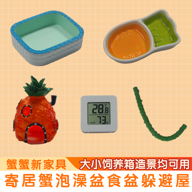 寄居蟹水盆食盆泡澡盆