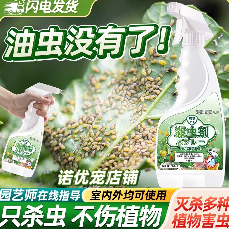 杀治油虫杀虫剂除油去油打燕专用虫药驱油汗药防油家庭去蚜虫灭杀