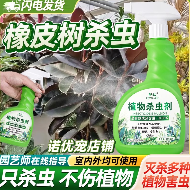 橡皮树杀虫剂除虫打虫药不伤植物