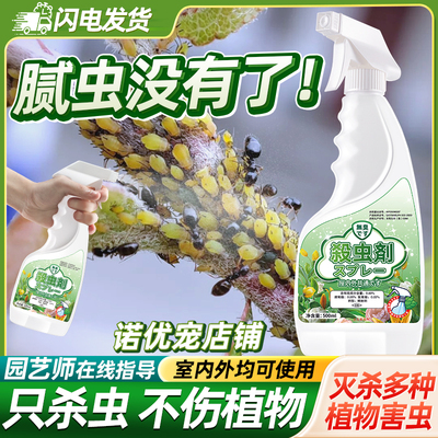 灭杀腻虫蚜虫杀虫剂喷雾神器克星