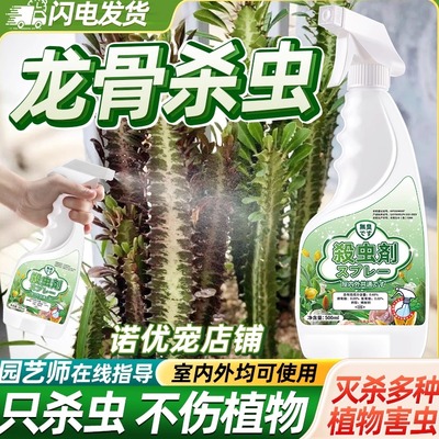 龙骨杀虫剂灭虫专用药喷雾神器