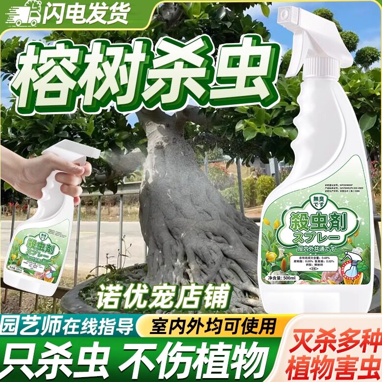 榕树金钱榕花杀虫剂打虫药介壳虫盆景虫害长虫卷叶虫蓟马人参虫子