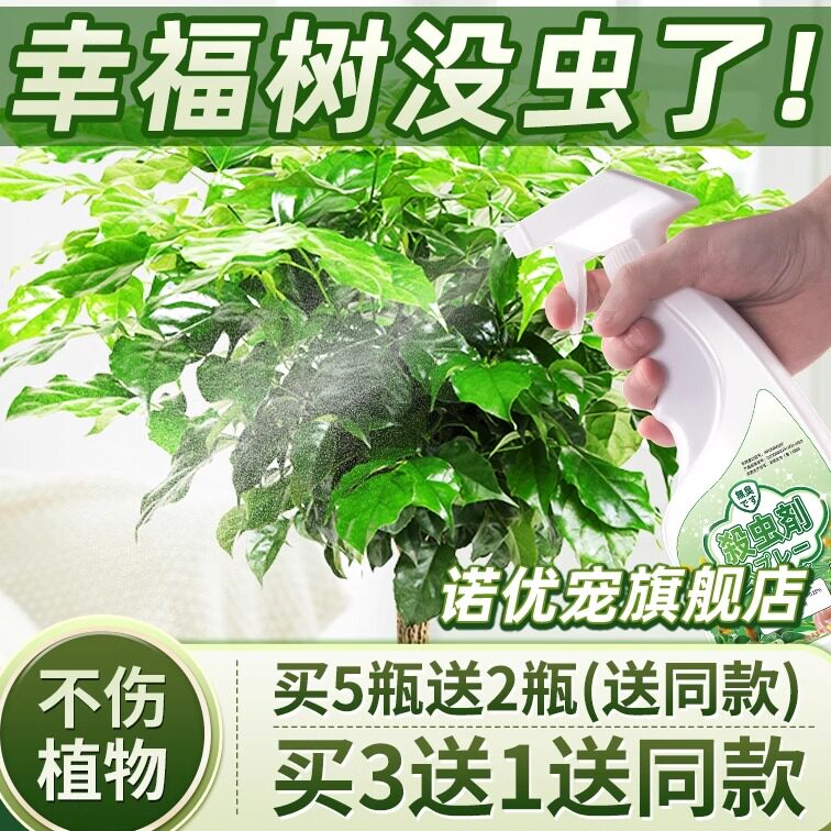 富贵树生虫幸福小虫子菜豆长虫杀虫剂病虫害红蜘蛛专用药辛福黑虫