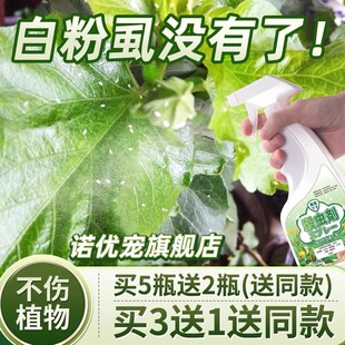 祛白粉虱杀虫剂家用祛除室内专用药治粉虱花药专杀喷雾灭专净杀除
