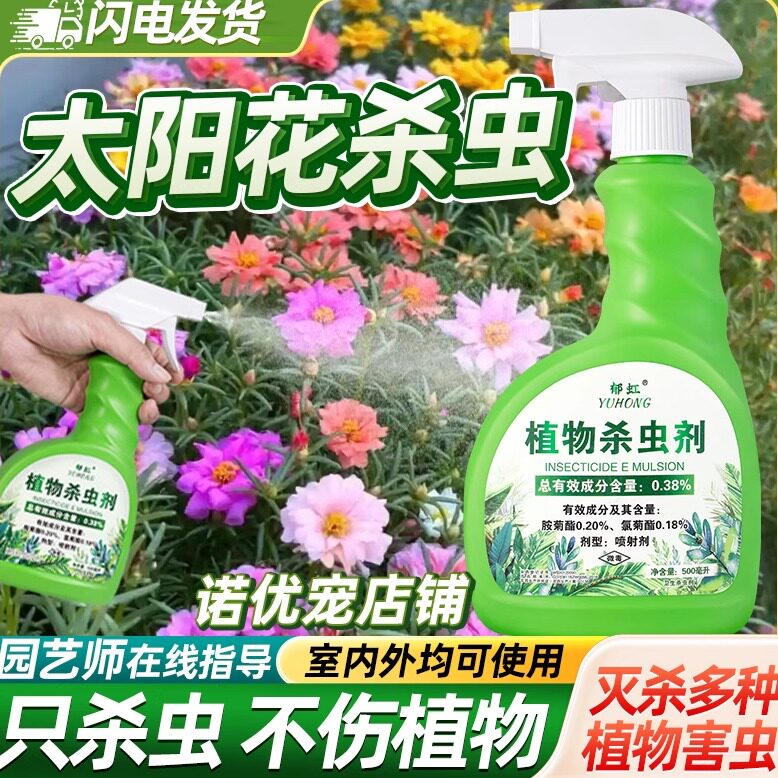 太阳花长白虫蚜虫上虫小害虫白色花生长虫杀虫剂专用药虫子非农药