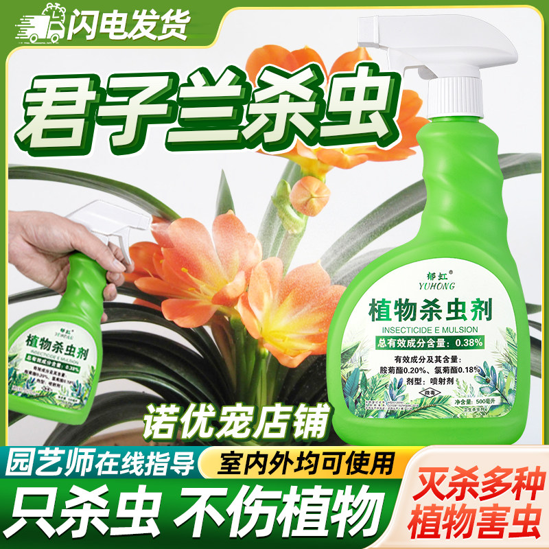 君子兰杀虫药小黑飞专用剂除虫生虫子小白虫长虫驱虫去虫药非杀菌