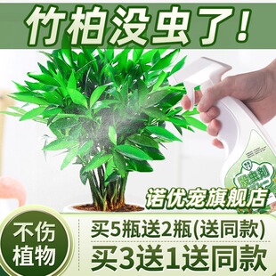 竹柏杀虫剂驱虫药白粉虱花药专用治虫蚧壳虫专杀喷雾治疗防治克星
