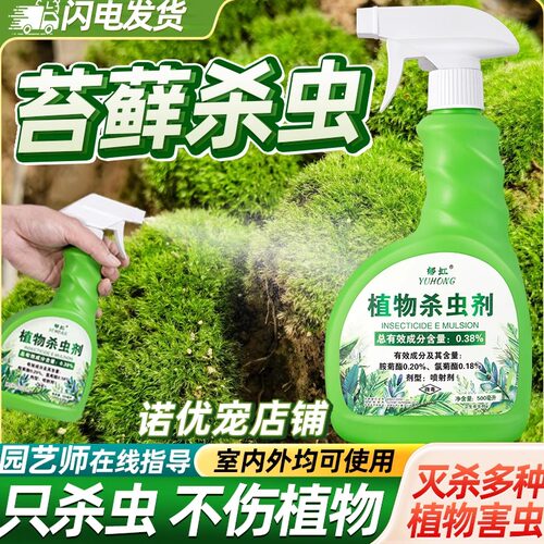 苔藓杀虫剂除虫打虫药不伤植物