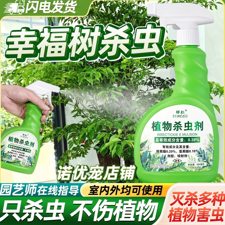 幸福树杀虫药蚧壳虫专用