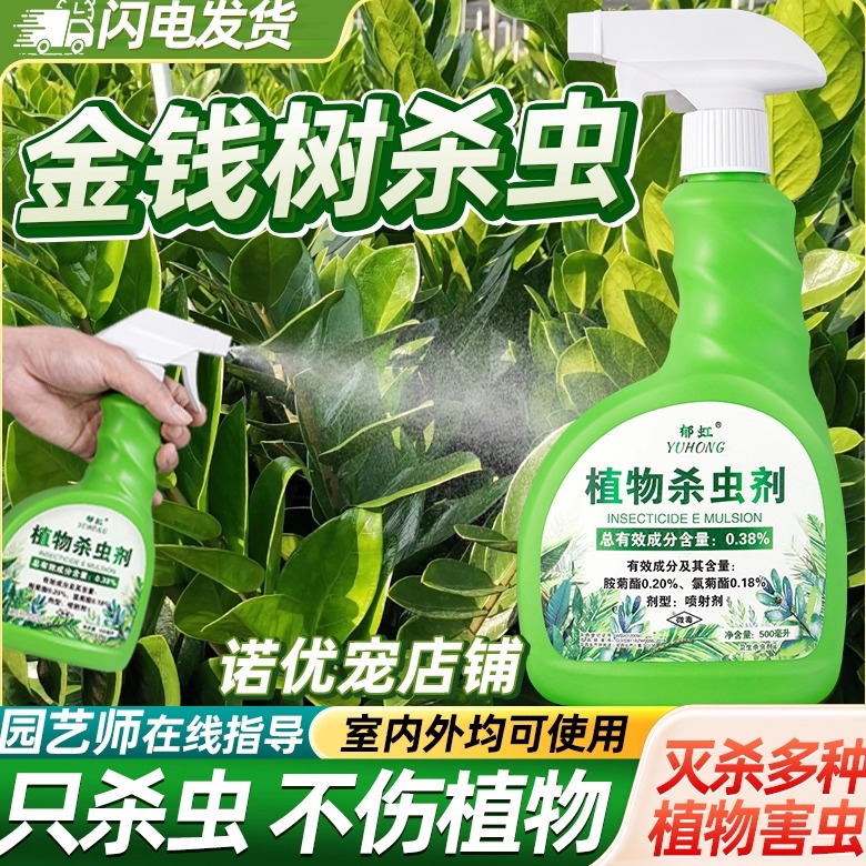 金钱树杀虫喷射剂杀虫防虫
