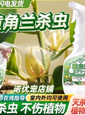 黄角兰除虫黄桷兰树专用药杀虫剂驱虫长虫兰花介壳红蜘蛛芥壳喷雾
