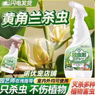 黄角兰除虫黄桷兰树专用药杀虫剂驱虫长虫兰花介壳红蜘蛛芥壳喷雾