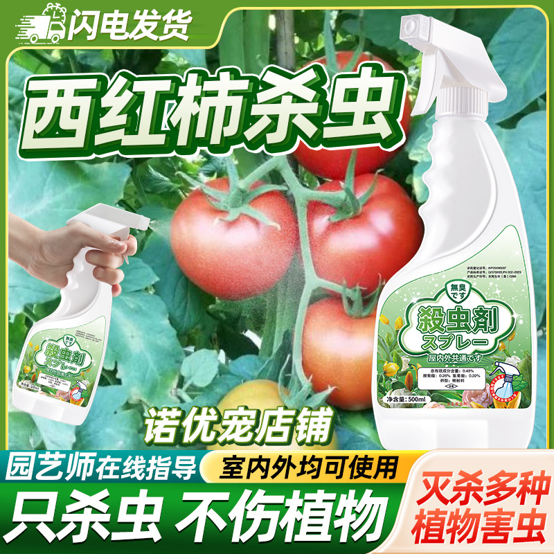 治西红柿苗虫子药番茄虫害生虫灭小白虫小黑飞杀虫去虫药专用剂除