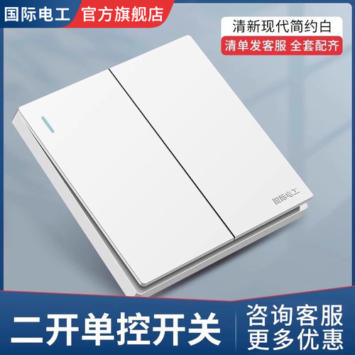 国际电工二开单控开关86型暗装