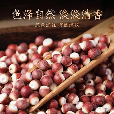 公和堂芡实新鲜广果东干货大芡实中草鸡药正品芡实头米颗INV材粒