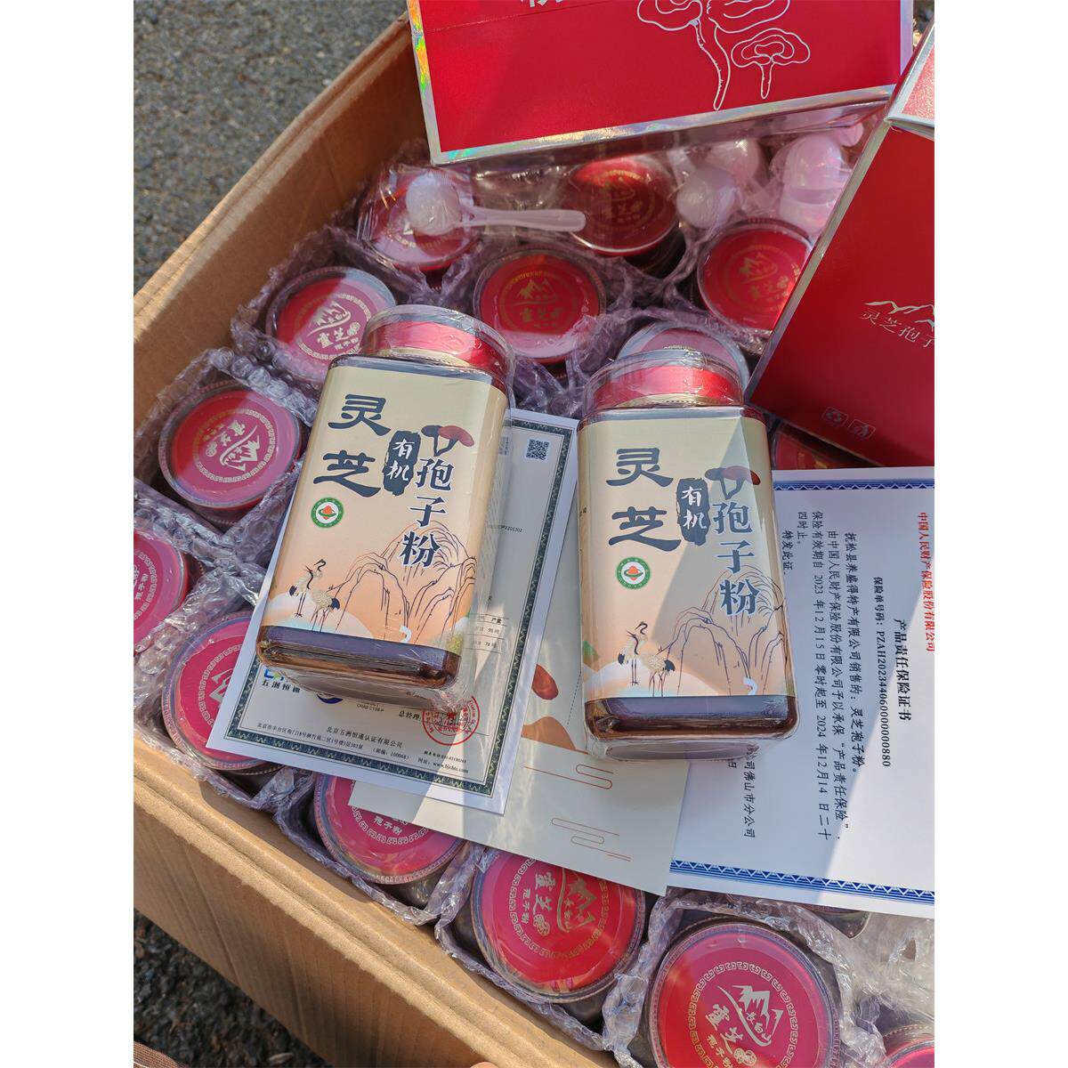 长白山正宗克有机芝孢子粉00东北特产头道椴木ANB灵赤灵芝5孢子油