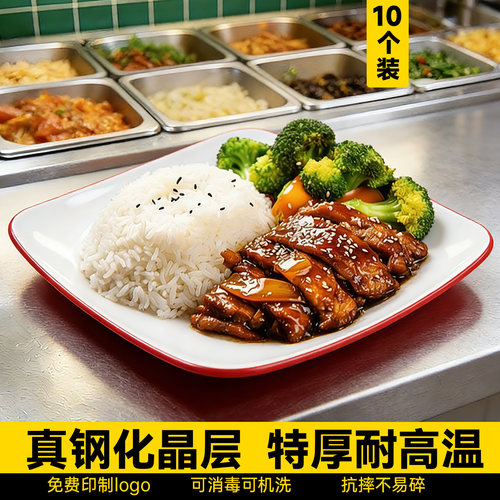 10个装密胺商用四方快餐盘