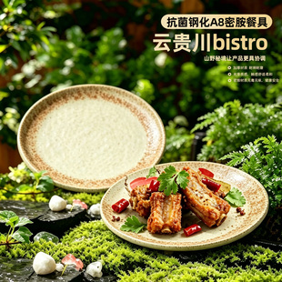 山野风网红特色餐具云贵川bistro摆盘菜碟漂亮饭融合菜意境菜盘子