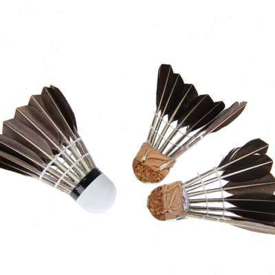 羽毛球 12只装阿姆斯黑色耐打王不易烂鹅毛球 室内外训练比赛用球