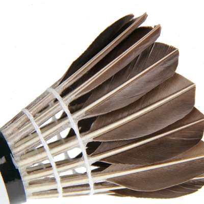 羽毛球 12只装阿姆斯黑色耐打王不易烂鹅毛球 室内外训练比赛用球