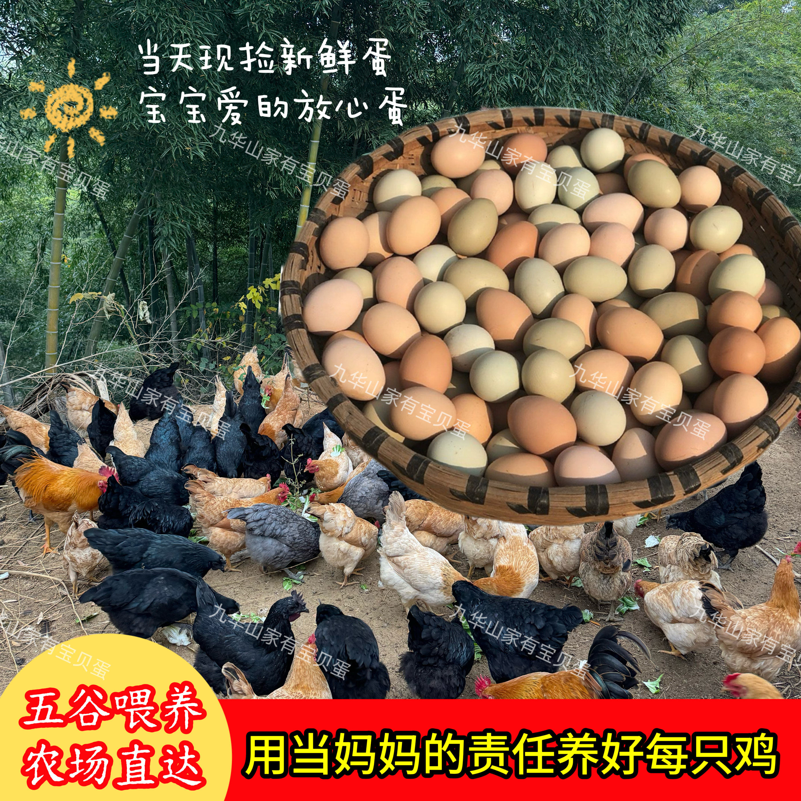 正宗农家散养新鲜土鸡蛋绿壳乌鸡蛋组合装山林五谷散养孕妇宝宝蛋