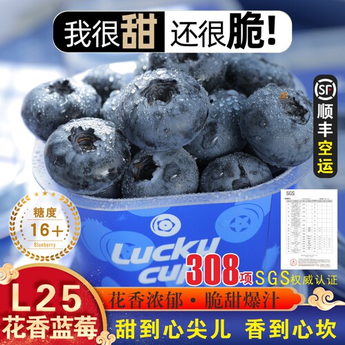 云南L25花香蓝莓新鲜脆甜多汁鲜果特大果礼盒装顺丰空运当季水果