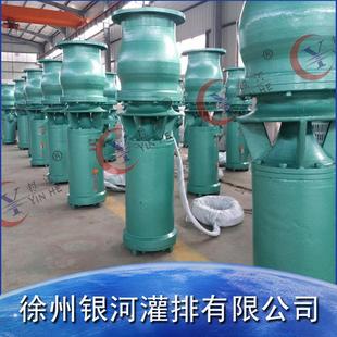 QSZ潜水轴流电泵QSH潜水混流泵大流量河道抽水水库泵站潜水泵