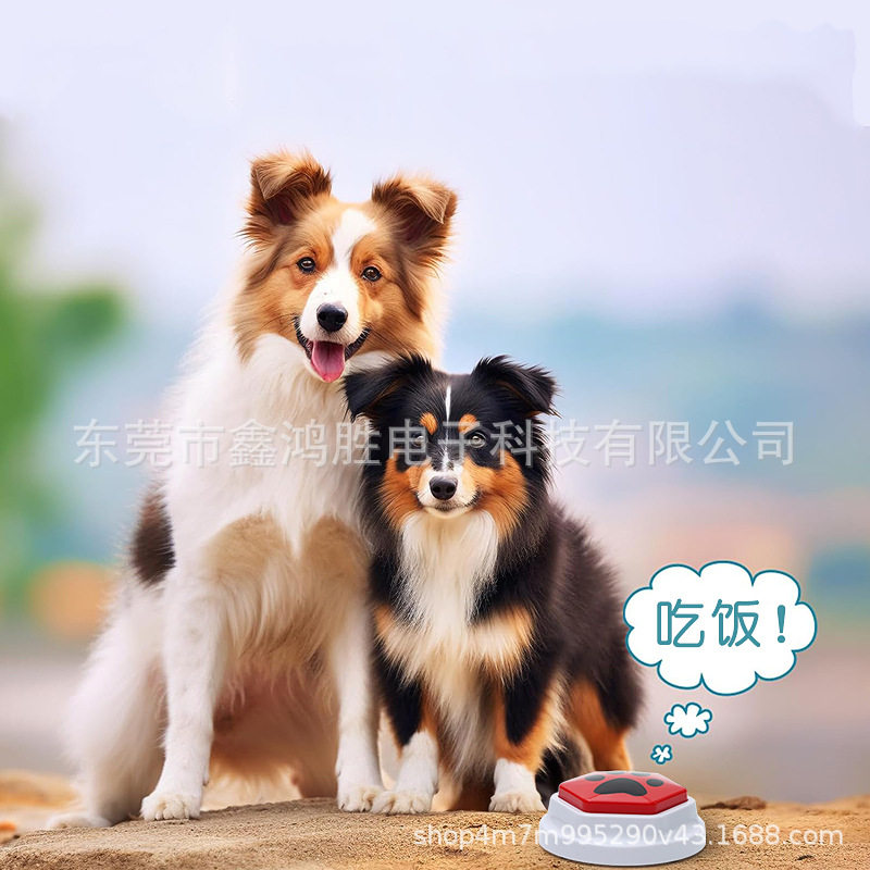 说话按钮宠物交流按键发声器按铃吃饭玩具录语音训练宠物犬智能,宠物/宠物食品及用品,猫狗特色玩具,淘宝优惠券,粉丝福利购,淘宝优惠卷