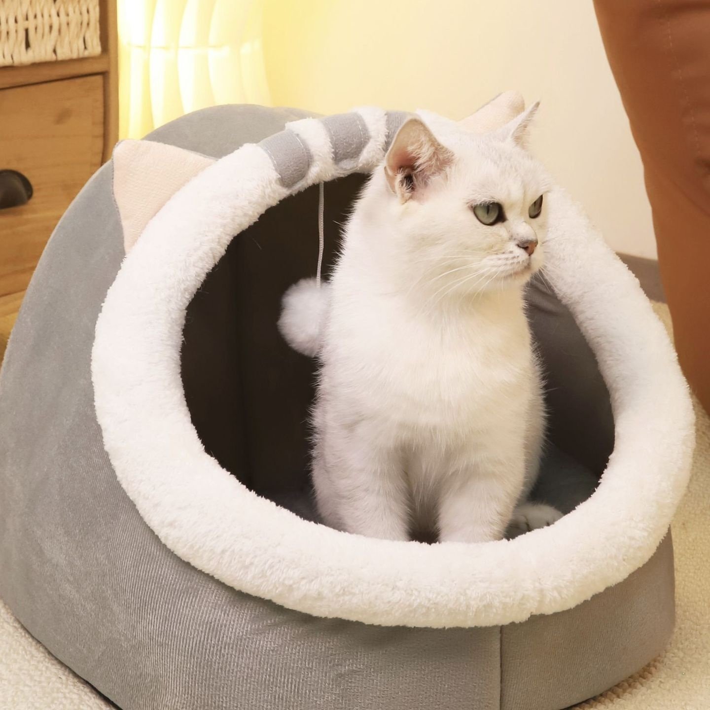 猫窝四季通用封闭式猫房子狗窝冬季保暖宠物窝小型狗,宠物/宠物食品及用品,猫笼子/猫别墅,淘宝优惠券,粉丝福利购,淘宝优惠卷