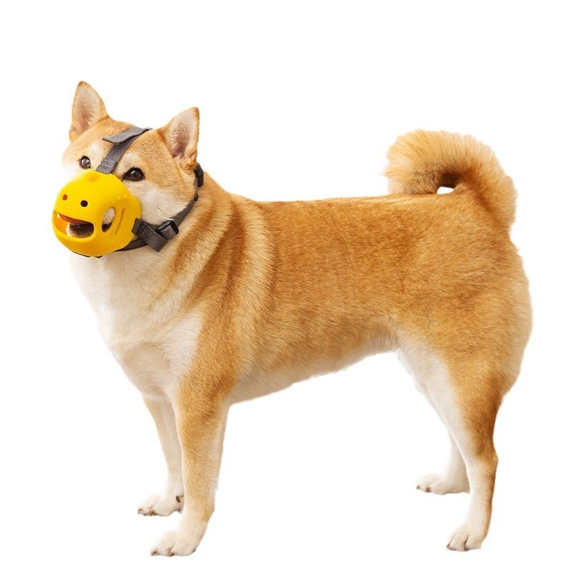 宠物狗狗嘴套防咬防舔防乱吃硅胶口罩小型大型犬外出嘴罩用品,宠物/宠物食品及用品,嘴套,淘宝优惠券,粉丝福利购,淘宝优惠卷