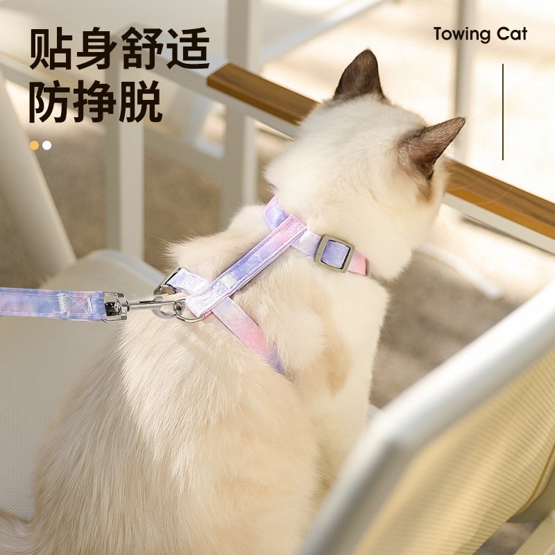 宠物猫咪渐变色牵引绳套装小型犬狗绳狗狗工字胸背带宠物用品,宠物/宠物食品及用品,猫牵引绳,淘宝优惠券,粉丝福利购,淘宝优惠卷