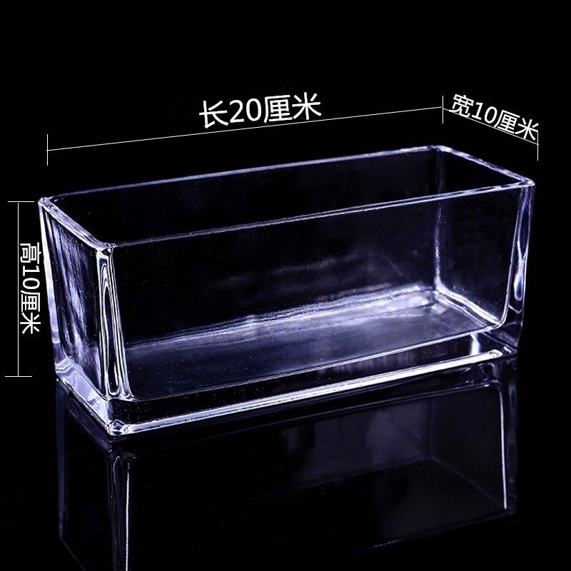 玻璃鱼缸小型创意桌面透明金鱼缸水培植物长方迷你生态景观盆容器,宠物/宠物食品及用品,桌面缸,淘宝优惠券,粉丝福利购,淘宝优惠卷