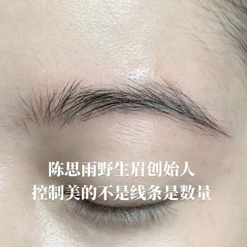 陈思雨新款纹绣机器野生眉雾眉线条眉浓缩液体色料电流仪适用正品