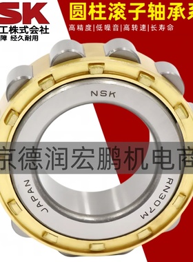 日本进口NSK圆柱滚子轴承 RN210 211 212 213 214 215 216 217 EM