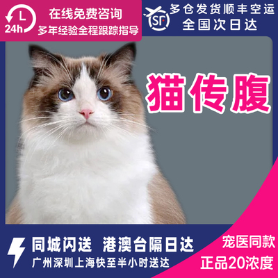 喵咪传腹针剂猫传腹片剂大肚子消腹水干性传染性腹膜炎湿性fipv