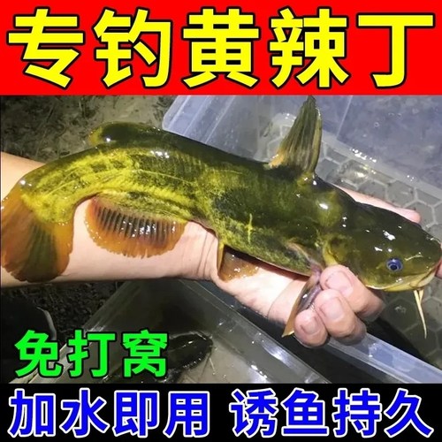 高浓度黄辣丁小药诱鱼剂野钓昂刺鱼饵料黄鱼黄骨鱼黄颡鱼钓鱼饵料