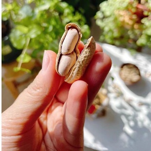 打手花生坚果五香年货小零食休闲追剧带壳炒制花生米佐酒解馋下酒