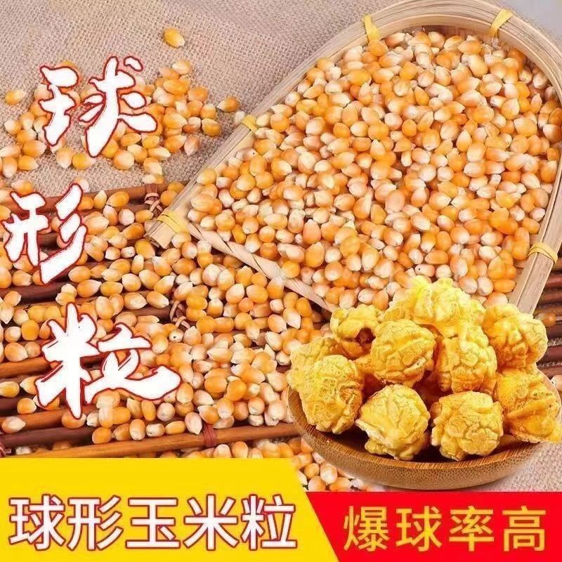球圣牌球形玉米爆米花专用玉米粒圆形爆裂爆花玉米原料KTV影院
