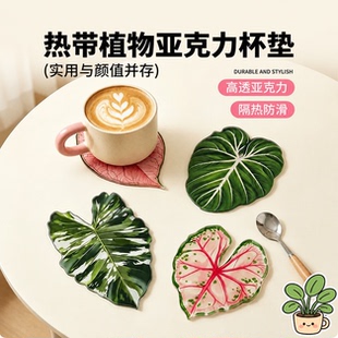 热带植物叶子杯垫创意高颜值隔热防烫易于清洁ins风亚克力茶杯垫