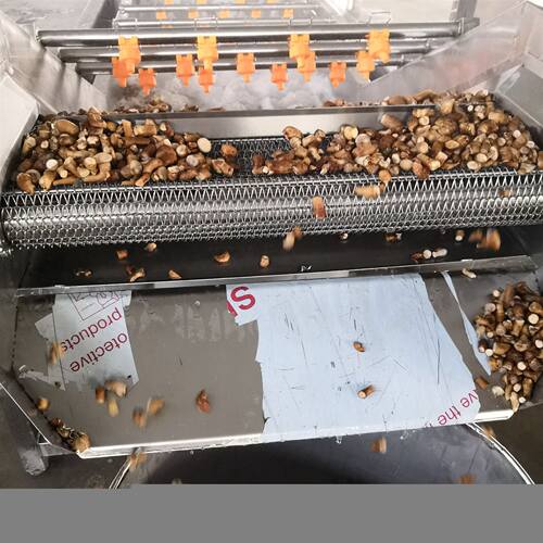 供应香菇腿清洗机 多功能气泡清洗机 蔬菜水果清洗设备 按需定制