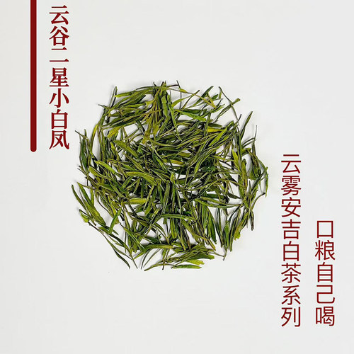鲜甜高山安吉白茶口粮茶叶自己喝