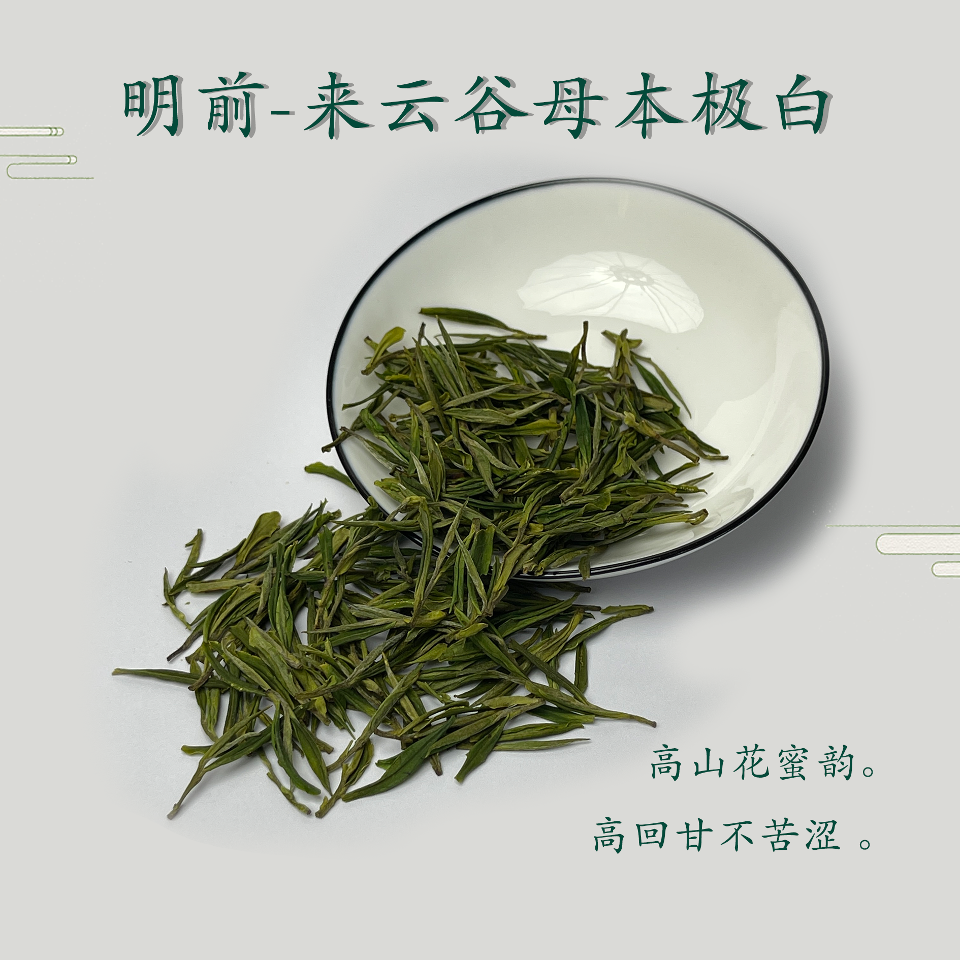 神王白茶！来云谷母本白茶小肥芽甘醇爽口有试喝装正装拆封不可退
