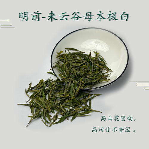 高回甘明前母本极白有试喝装清仓