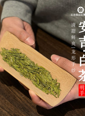 手工明前安吉白龙井工艺甘醇爽口
