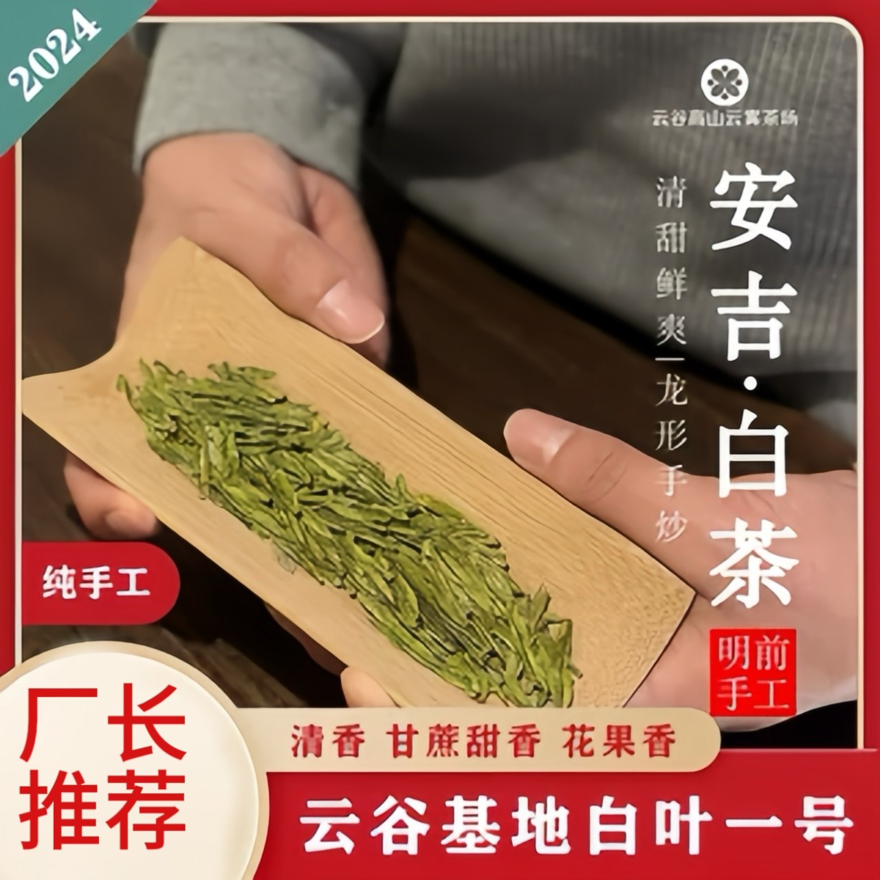 纯手工龙形头采安吉白茶自己喝