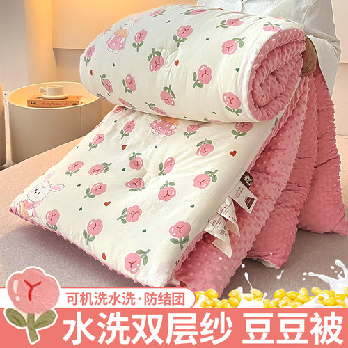 大豆纤维被芯冬被豆豆绒春秋被