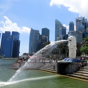 新加坡本地版Lotus Rheumatic Balm 28g