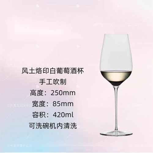 国货手工超薄sy香槟杯烙印白葡萄酒杯sy风土香槟杯水晶酒杯雷司令