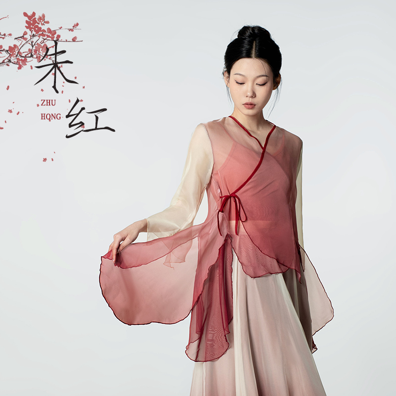 中国舞剧目古典舞改良汉服天丝上衣舞蹈服女原创设计渐变舞蹈纱衣